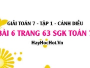 Giải bài 6 trang 63 Toán 7 Tập 1 SGK Cánh Diều